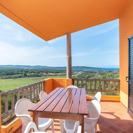 Conchiglia Blu * Barrabisa